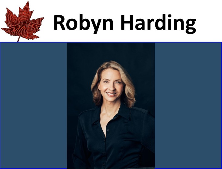 Robyn Harding, The Drowning Woman