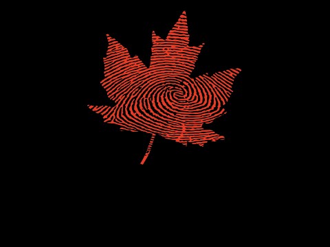 Taxes for Writers with Sunny Widerman